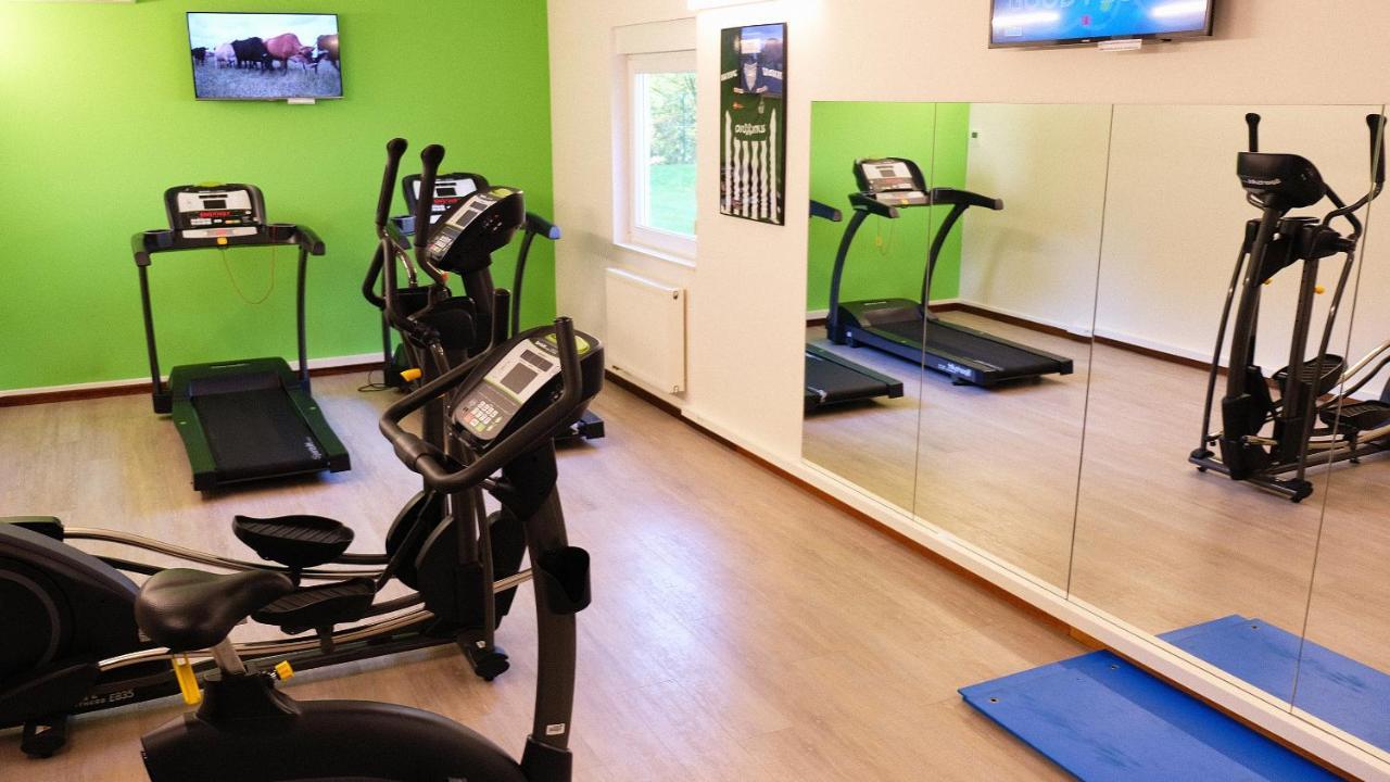 Ibis Styles Airport Aero 44 3* Charleroi